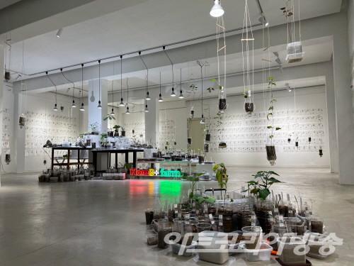 김순임展 Nature in Food