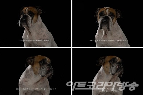 장호성 展 'Dog Maker'