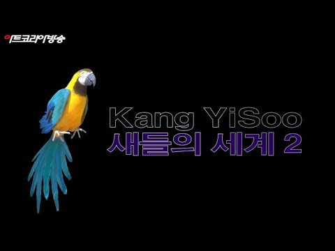 강이수 개인전 '새들의 세계Ⅱ'