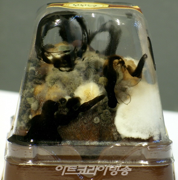 [김수열 갤러리스트] 소장품이야기 40-김구림