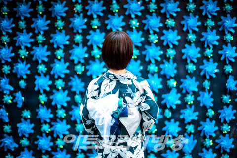 오사카 최대 섬머 페스티벌, 우메다 유카타 축제 개최