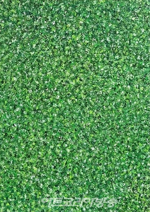 [김수열 갤러리스트] 소장품이야기 49 '요즘처럼'