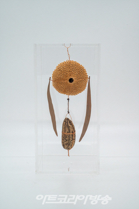 [김성호 미술평론] '자연으로의 초대' 화이트 큐브로 초대하는 전유의 자연미술