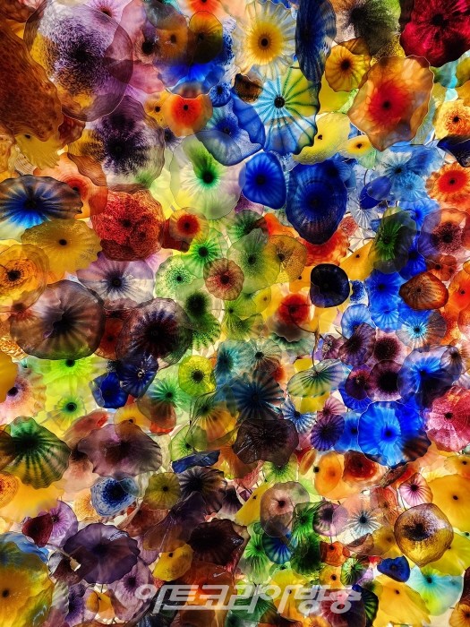 [김수열 갤러리스트 소장품이야기 51] 내가 화가의 길을 걸었더라면...