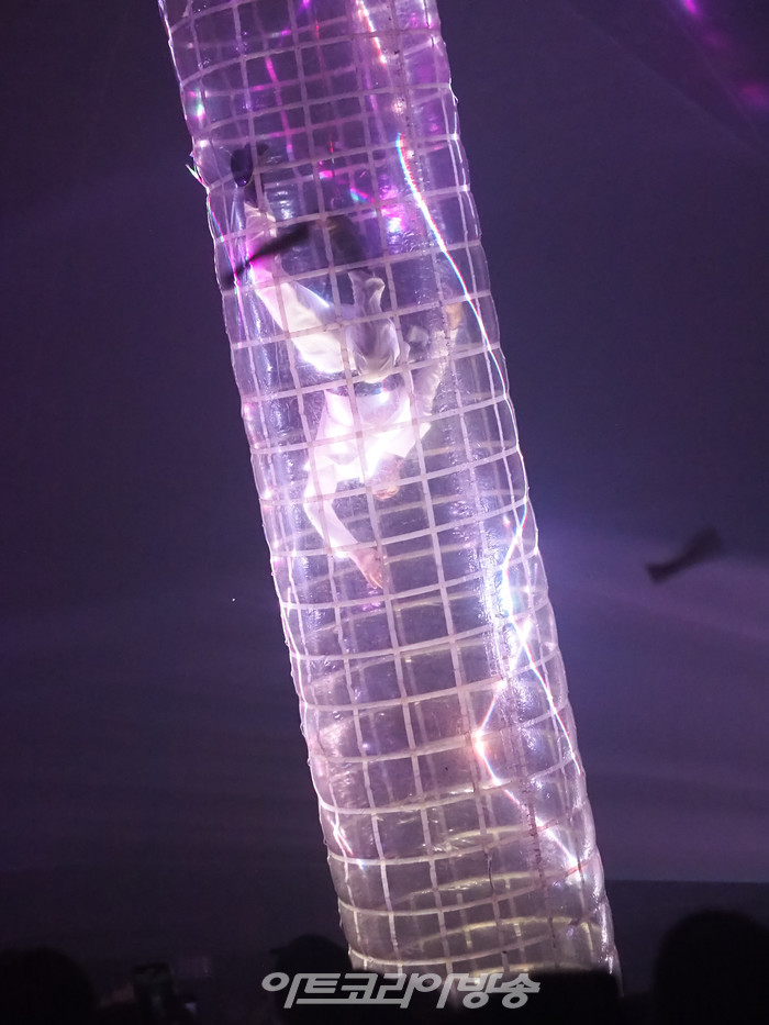 [AK화보] 비바~ '2023 푸에르자 부르타 웨이라 인 서울'