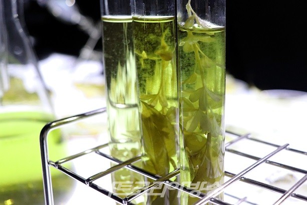 유상우 '숨겨진 것, 씌워진 것, 굴절된 것'