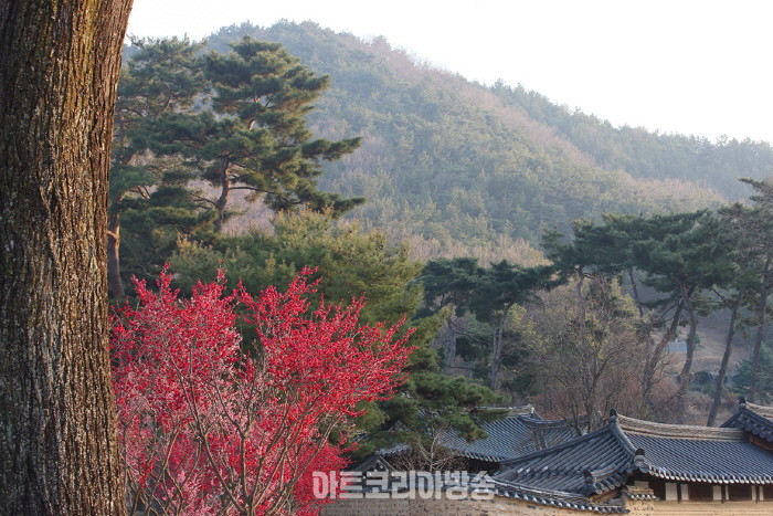 사진가 이동춘, '시간 속에 짓고 싶었던 한 채의 집, 한옥'