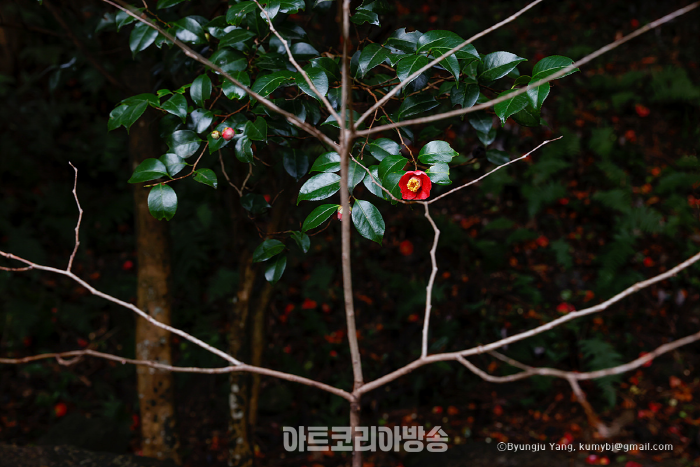 양병주 명상사진전 '아득한 시각'