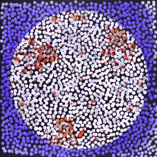 호주 아티스트 Daniel Boyd