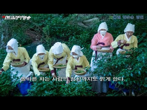 다례 양은순 명인