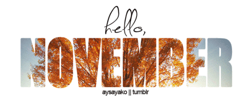 11월 이미지