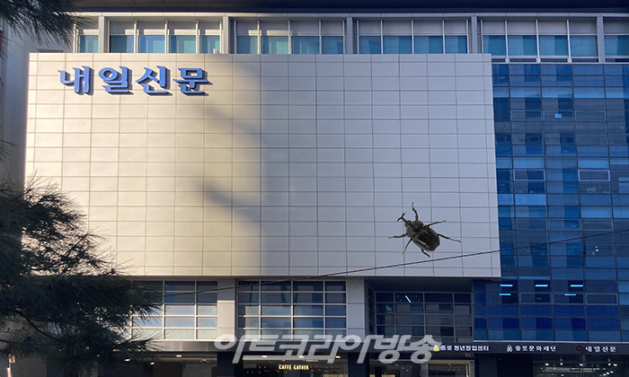 [김찬동 미술평론] 유벅의 역설적 자연 만들기