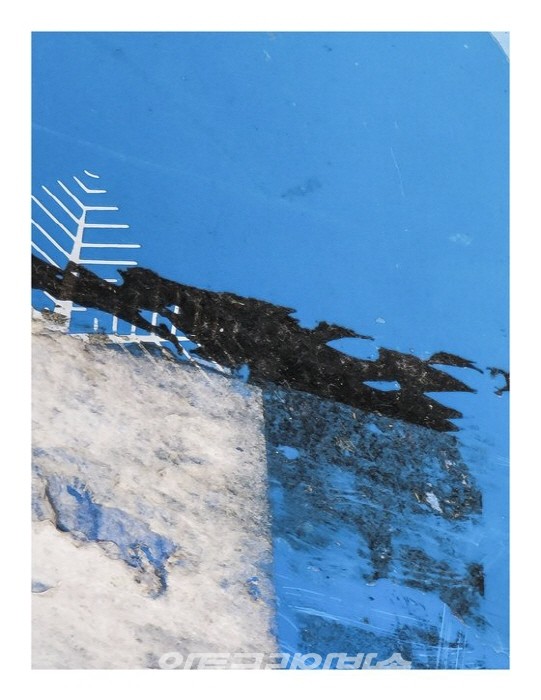 [미술평론] 치바 시게오 '눈의 면벽面壁 - 장사익의 사진 작품'