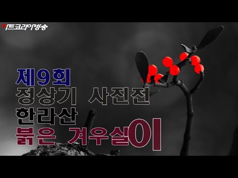 제9회 정상기 사진전 '한라산 붉은 겨우살이'