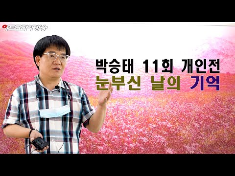 박승태 11회 개인전 '눈부신 날의 기억'