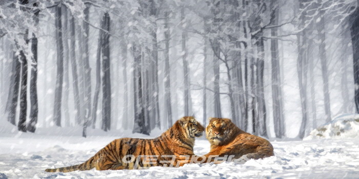 사진작가 박경서, '제7회 대한민국사진축전' 참가