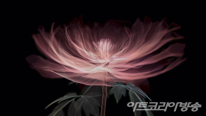 수원시립미술관, 미디어전 '찬란하게 울리는' 개최