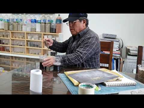 엄시문의 모래 꼴라쥬